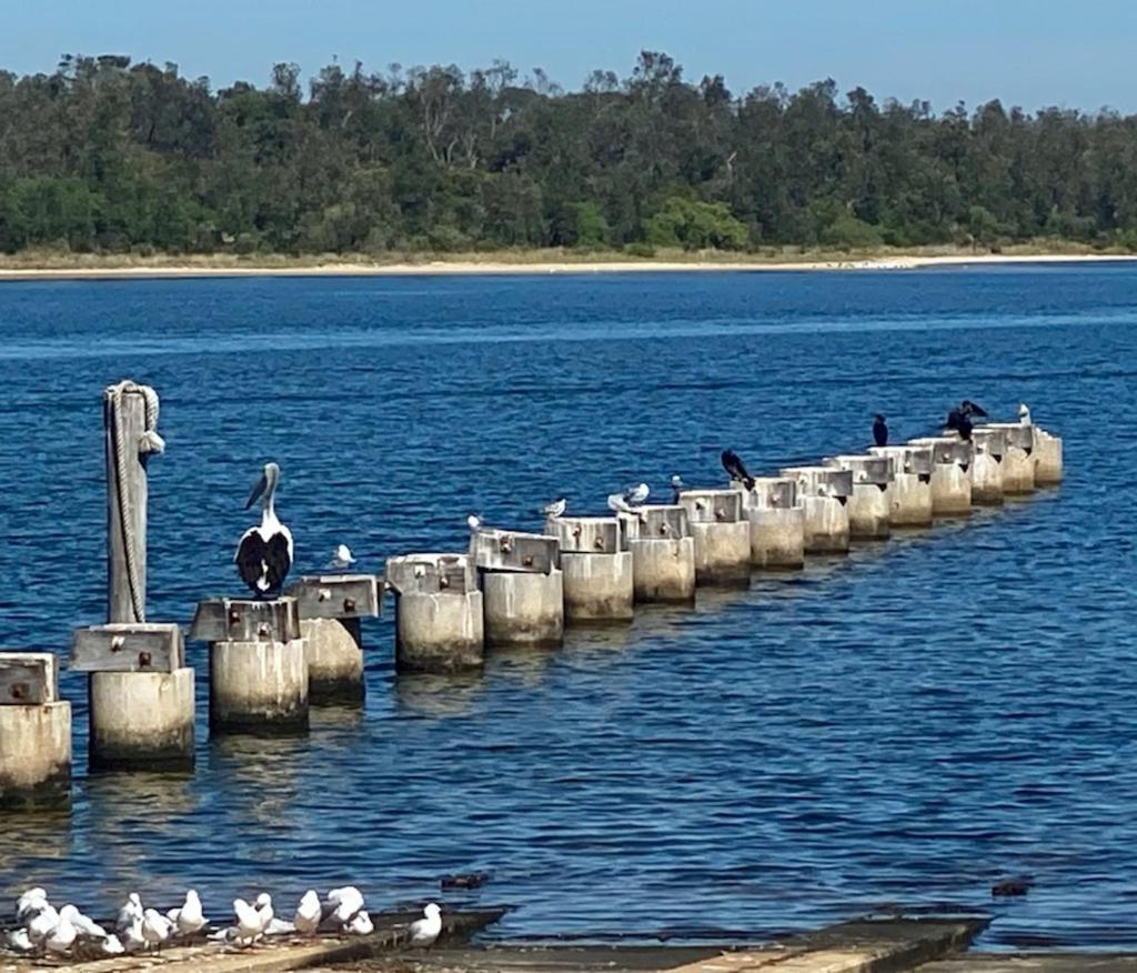 Sandbar Boutique Motel Lakes Entrance Extérieur photo